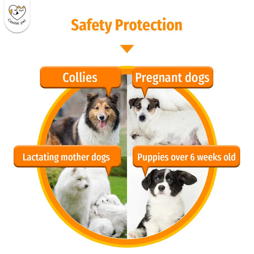 Cassicel-Pet Natural Dog Parasite Support Chews – Easy Feed Herbal Deworming Treats Chicken Flavor Parasite & Wellness Boost Treats Supports Digestive & Skin Health Immune Support